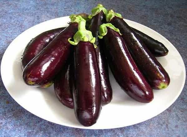 تصویر 1 از قیمت خرید بادمجان قلمی گلخانه ای + فروش ویژه